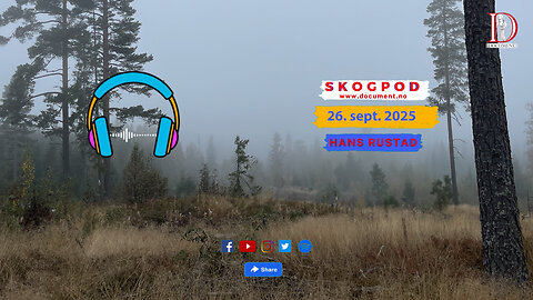 Skogpod 26. september 2025