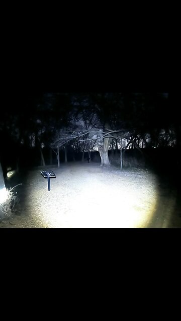 Bigfoot sighting Lake Lewisville TX