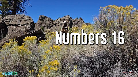 Numbers 16, Bible Reading in Nature, BSB