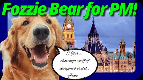SHOCKING Truth About Canada's Election Exposed!