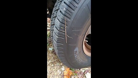 This Gal's Had a Rough Life!