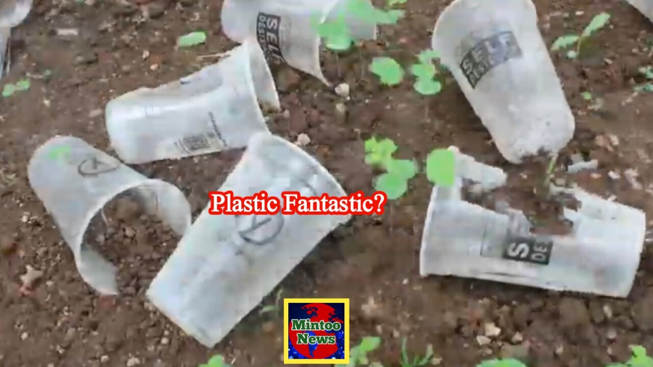 Plastic fantastic?