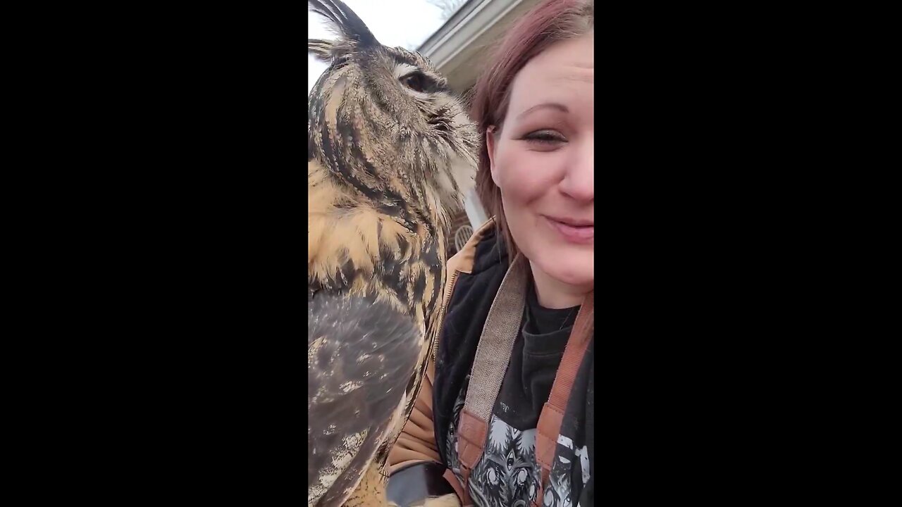 Owlish is hard for English speakers: Who?🤔 - 😒 HOO! 😏 - Who?🤨 - HOO!!!😘