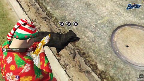 "THE DUDE OF ALL DUDES" 12/15/25 Stackswopo Stream