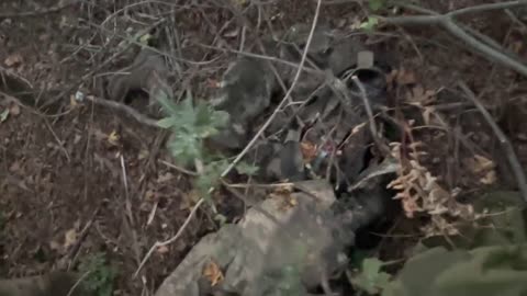 foreign mercenary