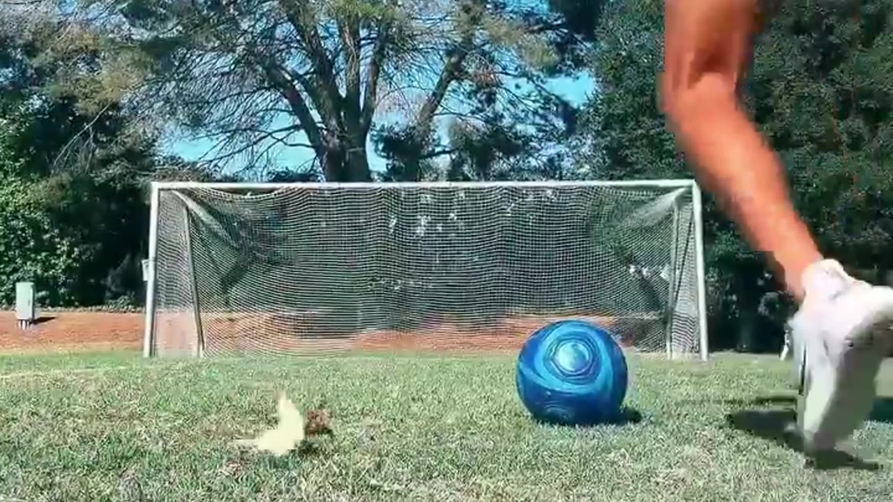 😂🏀 He Thinks He's the Next NBA Star! | FunFM