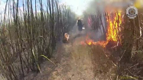 Bodycam captures foot chase through burning cane field