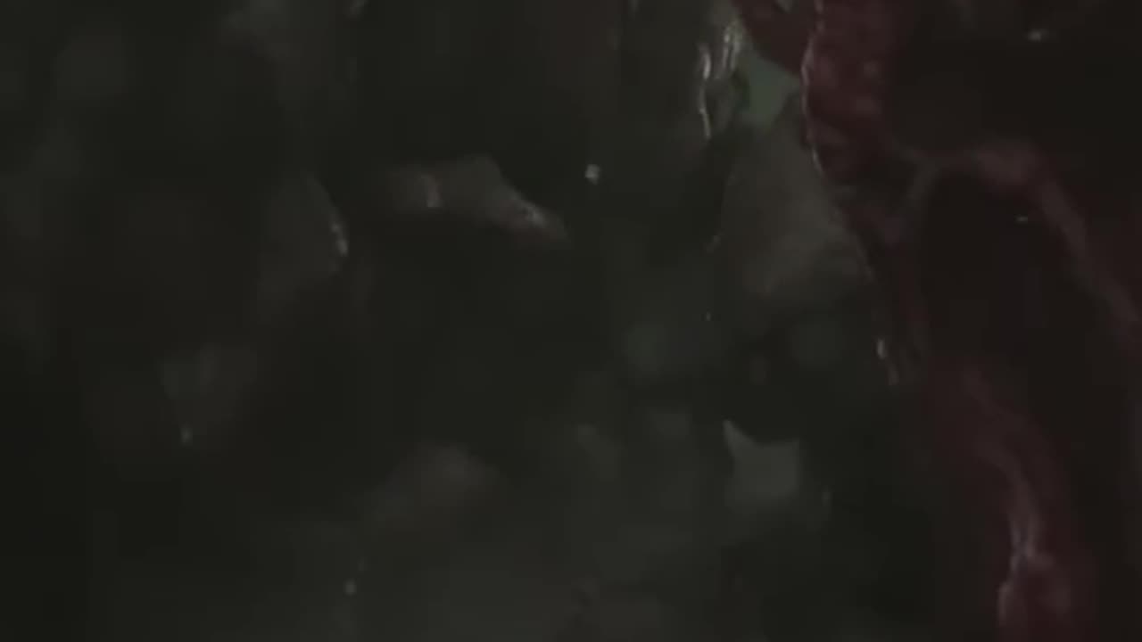 Play Scorn!
