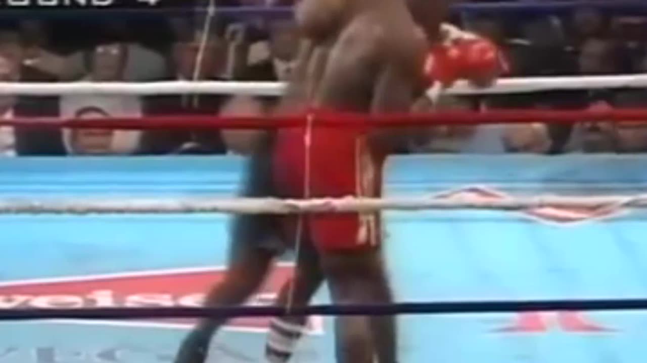 Mike Tyson vs Frank Bruno