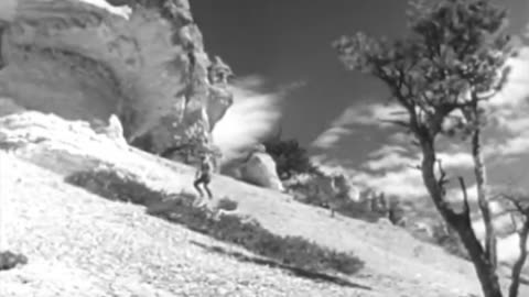 NATURE'S CAMEO - NATURE'S CAMEO - fc-fc-4527