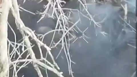 Russians Book One Way Ticket On the Pain Train to Ukraine(Content Warning)