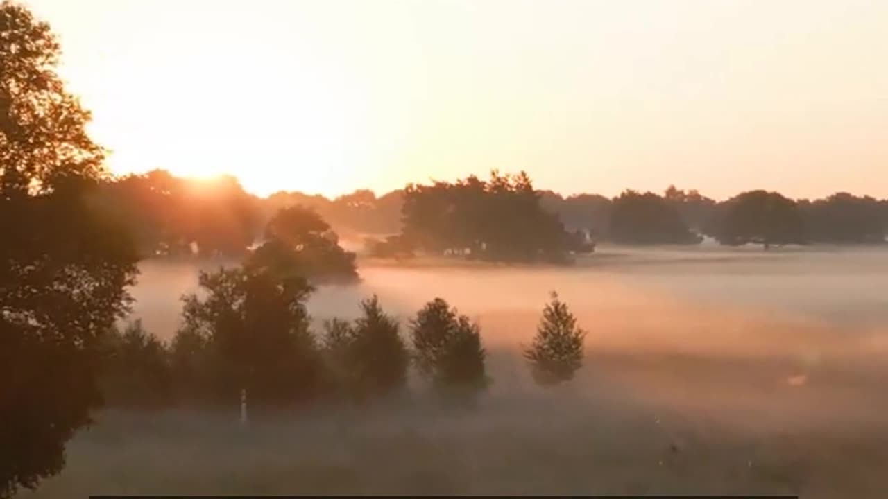 Daily Horoscope | Leo 🌟