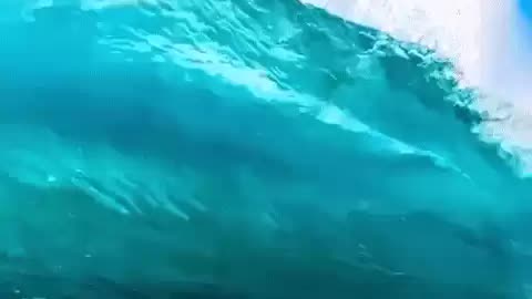 nom