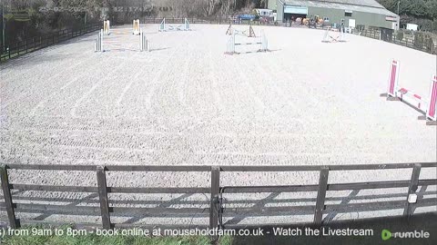 Mousehold Farm All Weather Riding arena