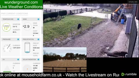 Mousehold Farm All Weather Riding arena