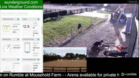 Mousehold Farm All Weather Riding arena