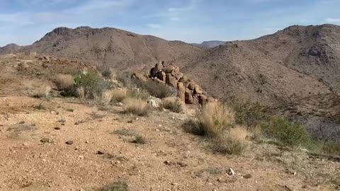 Homesteading In The Mountains of Arizona.