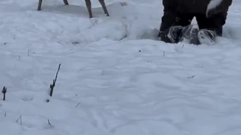 Woe Day 118. I am in the ark. Waiting for GOD to open the Door for a spring/summer Pentecost rapture