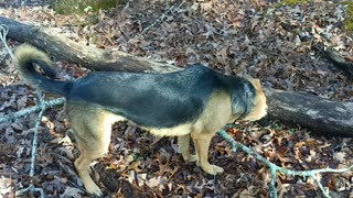 For The Big Foot Folks