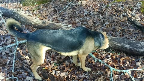 For The Big Foot Folks