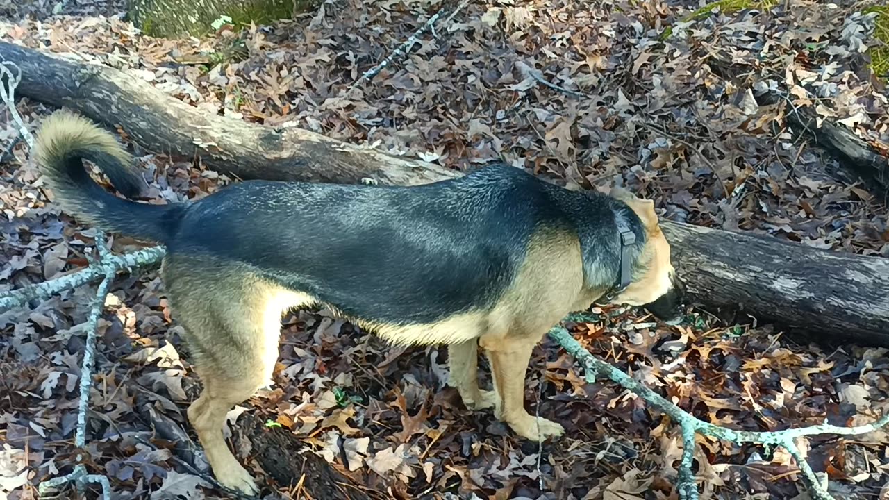 For The Big Foot Folks