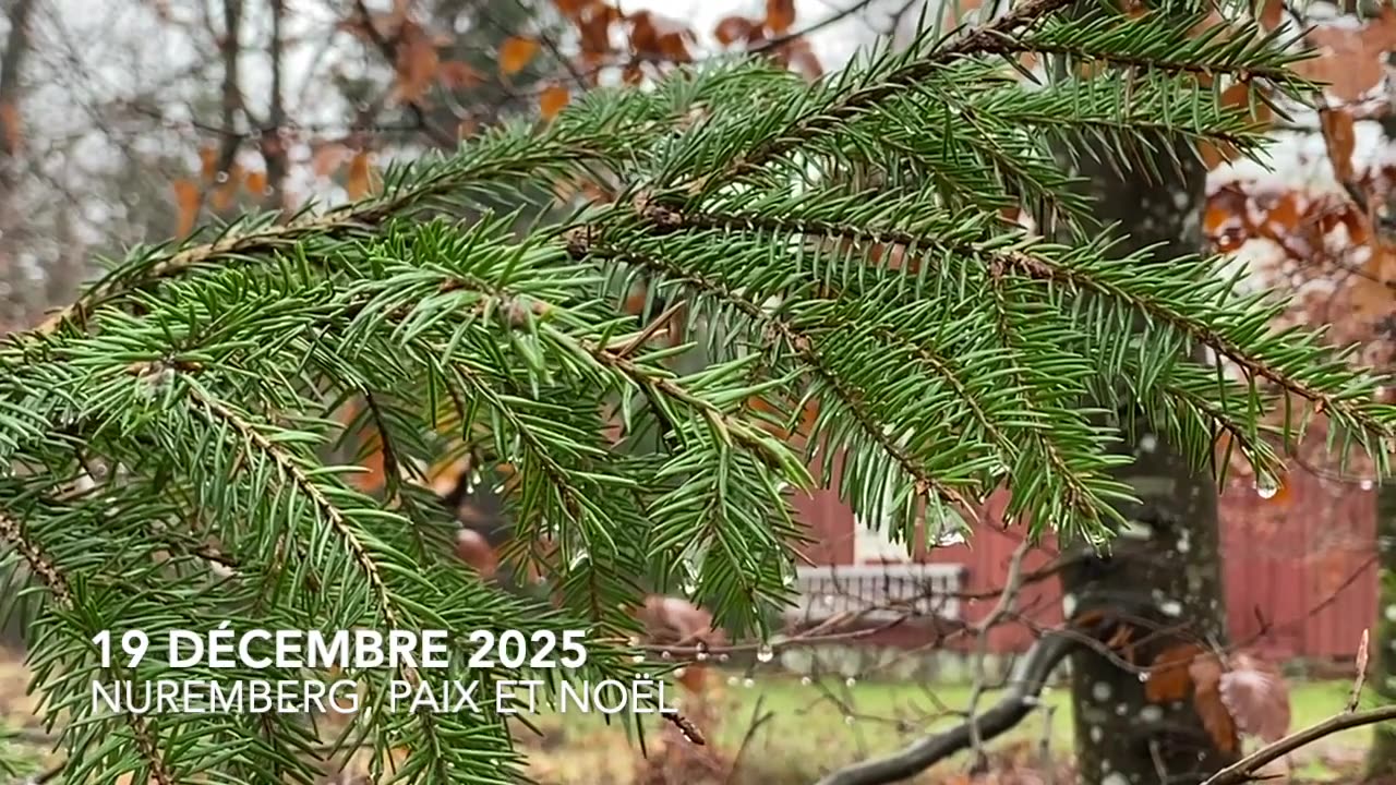 NUREMBERG, LA PAIX ET NOËL