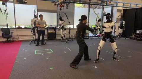Tesla Optimus learning Kung Fu