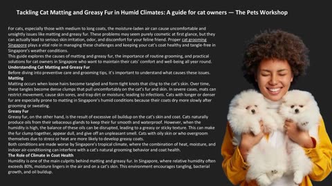Tackling Cat Matting and Greasy Fur in Humid Climates: A guide for cat owners
