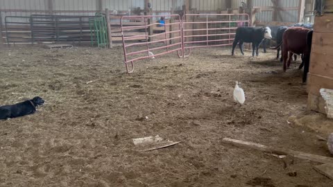 Wendy Sue 11/27/2025 One