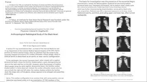 Journal of Racial Studies 1941-1943 - Racial Laws ; Racial Differences ; Columbus Not a Jew