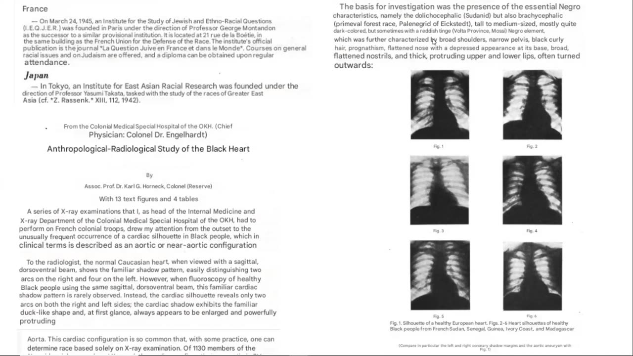Journal of Racial Studies 1941-1943 - Racial Laws ; Racial Differences ; Columbus Not a Jew