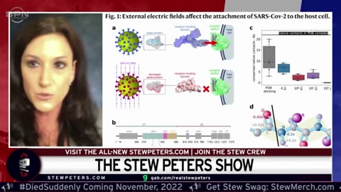 Is Covid a Nano-Weapon Parasite?