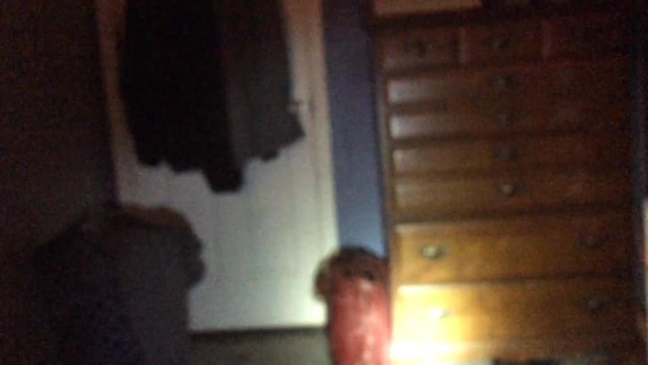 😨👻 You'll Never Believe What Happened When I Was Alone! 😱 | TheHauntingHour