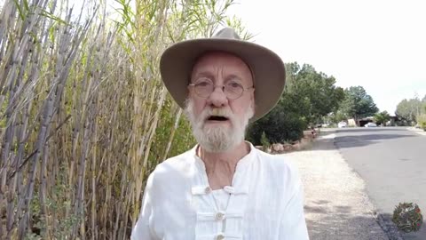 Max Igan The Great Replacement