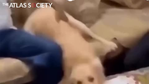 Nothing more dangerous than a politician pretending to be your friend.