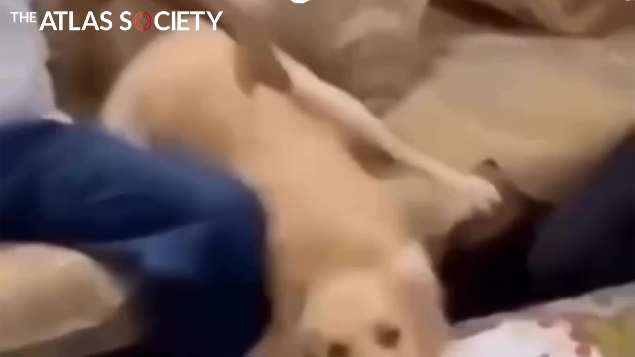 Nothing more dangerous than a politician pretending to be your friend.