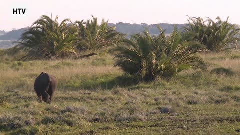 The Truth About Responsible Adventure Travel