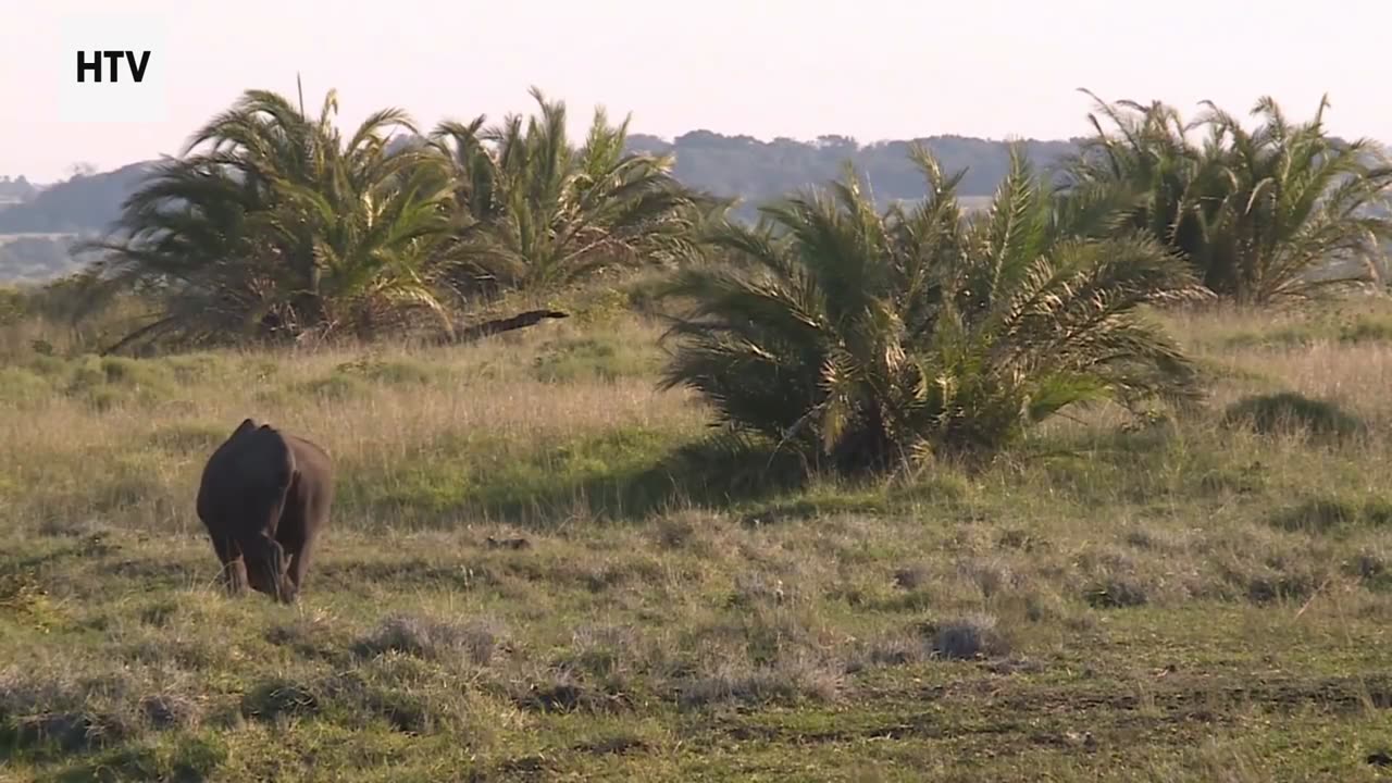 The Truth About Responsible Adventure Travel