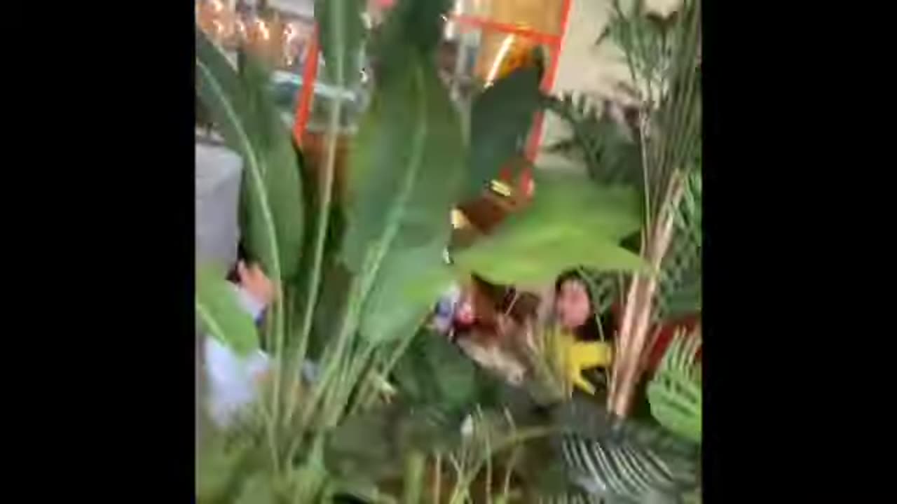 ON THE WAY TO AYALA CENTER MAKATI