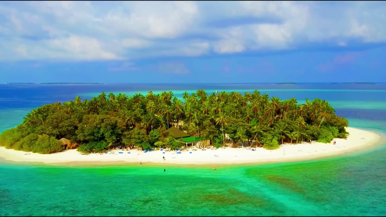 A new island has emerged in the middle of the Pacific Ocean. What is on this island?