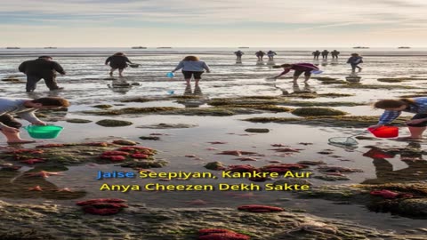 aisa sea beach sirf 1 hi hai