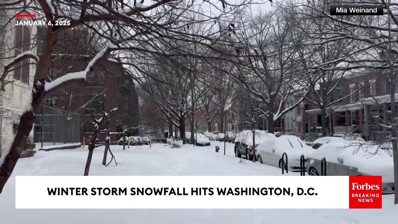 Winter Storm Snowfall Hits Washington, D.C.