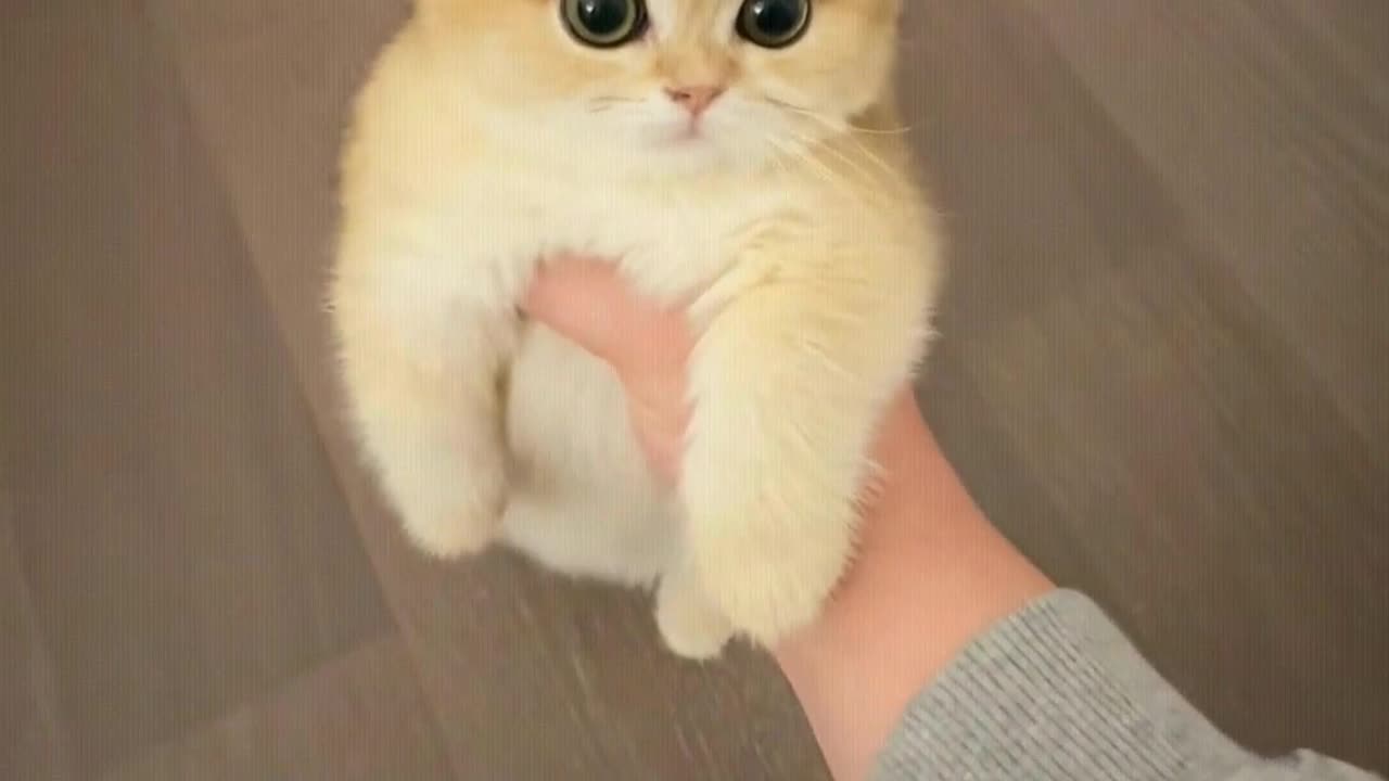 Holding it like this feels good.