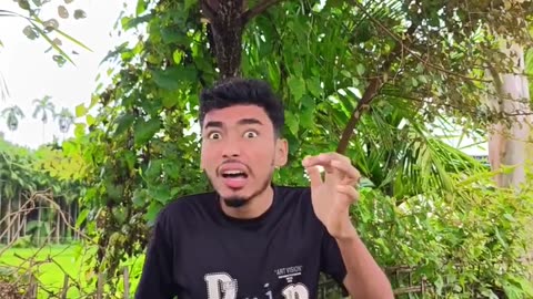 Beautiful video