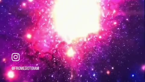 The brain is not the mind.... 🧠