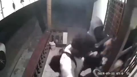 在外でアフリカ人に襲われる中国人