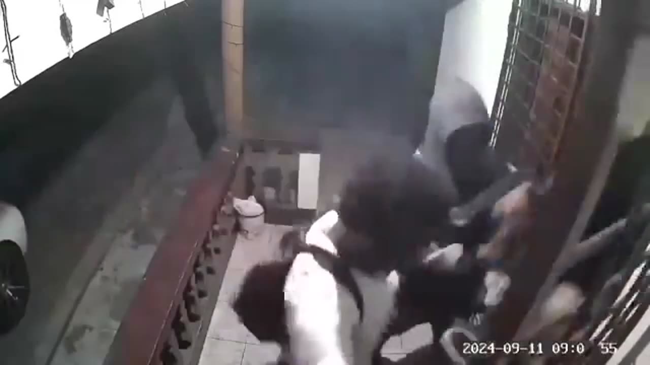 在外でアフリカ人に襲われる中国人