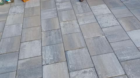 Garage Sailing 20260117