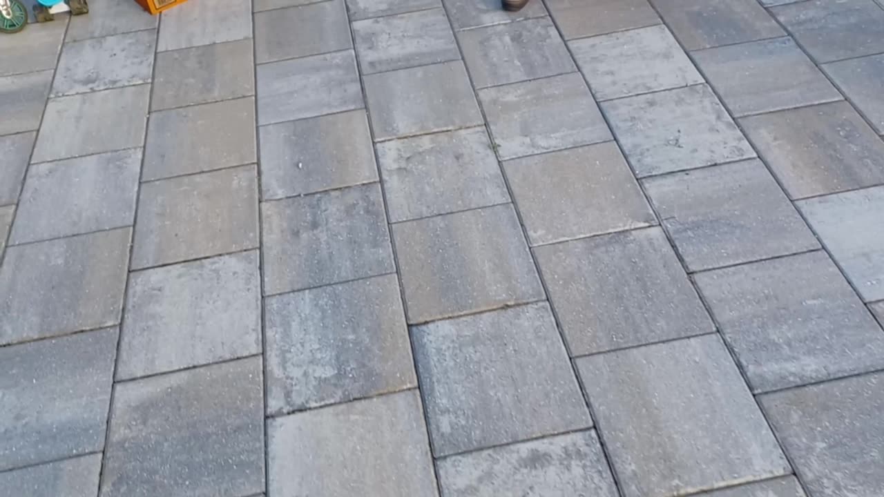 Garage Sailing 20260117