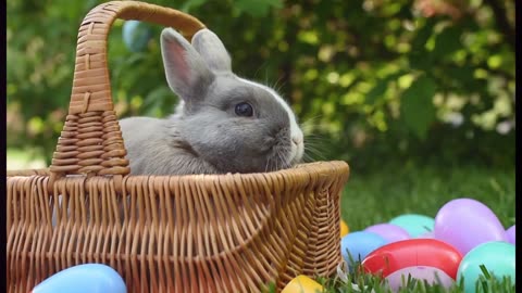 🐰🥚 Tesoros de Pascua: Una Historia de Alegría y Renacimiento | Narración + Video